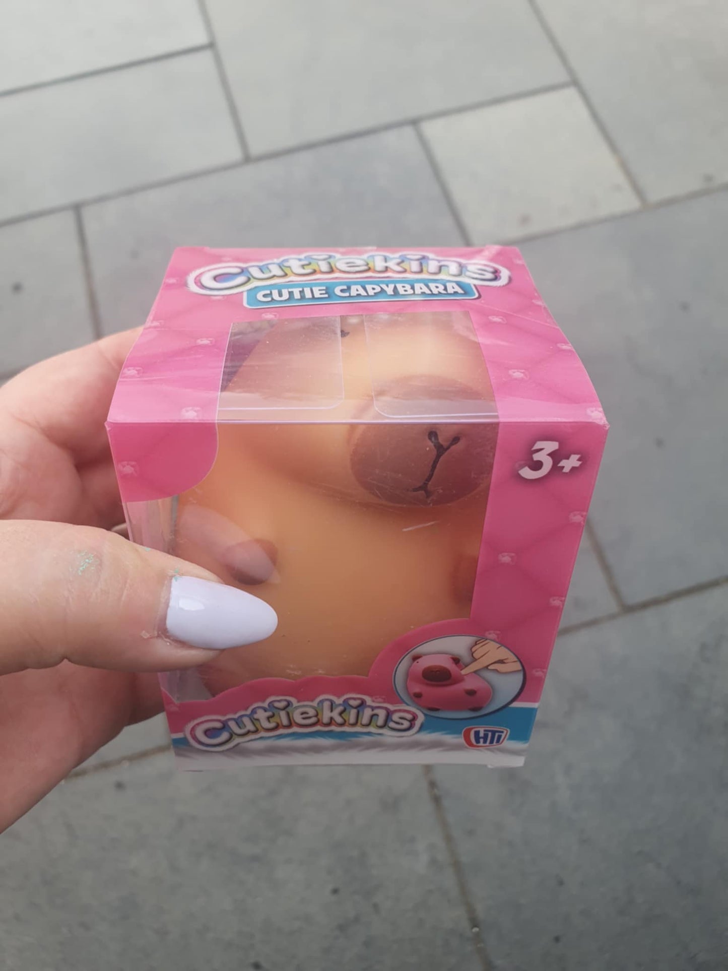 Cutekins squishy capybara (boxed)